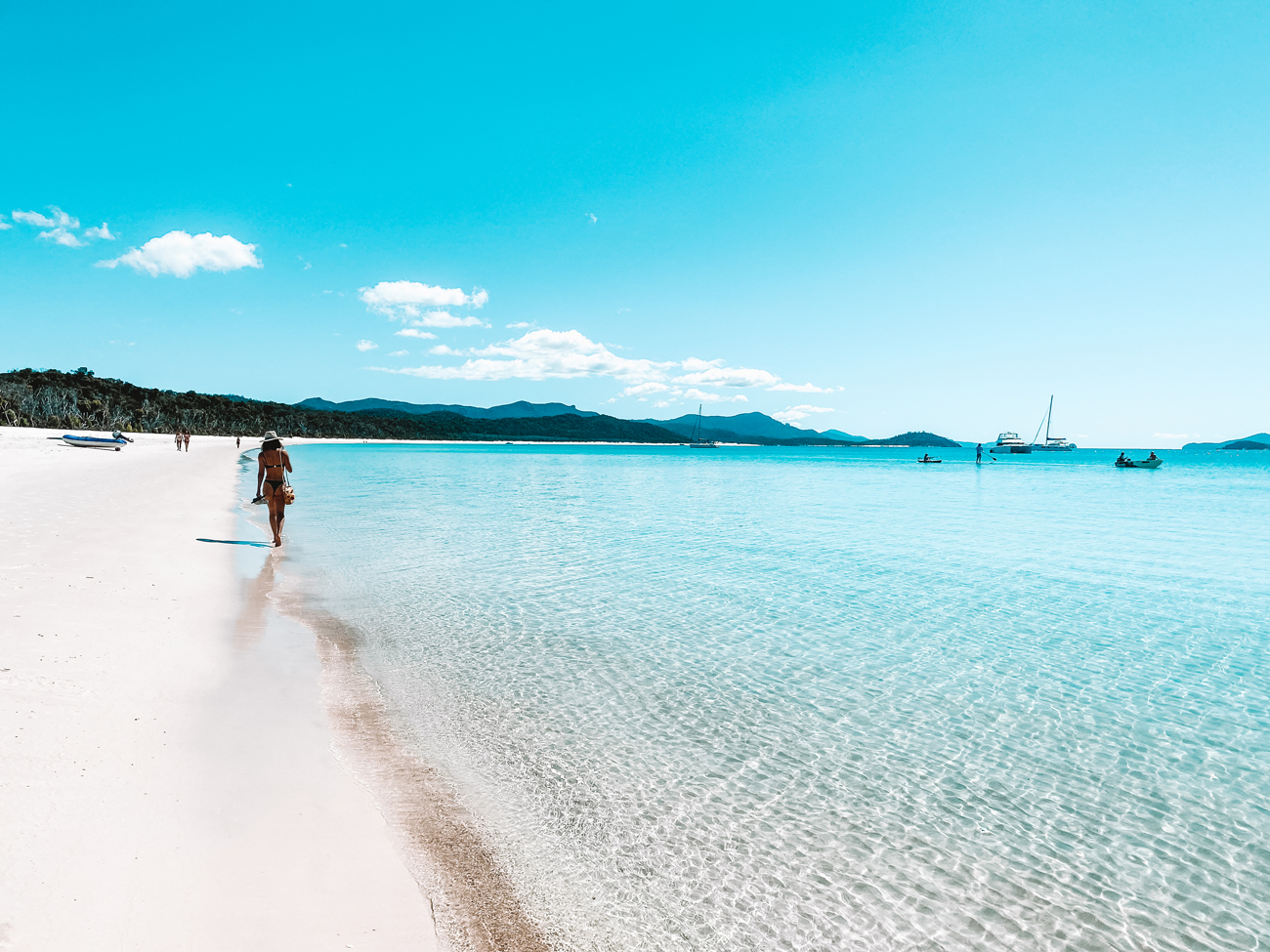 Spring into the Whitsundays with WAHI