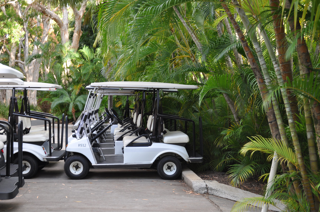 hamilton buggy hire