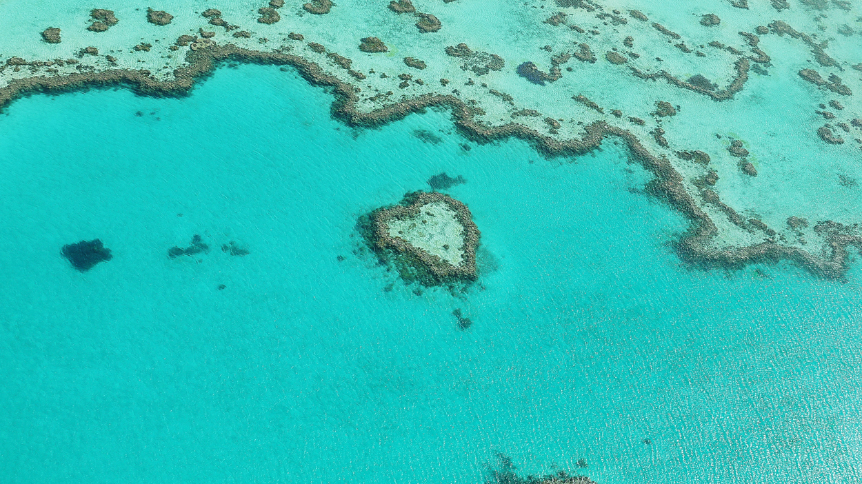The World Still Chooses the Whitsundays Over Fiji, Tahiti & Bora Bora…