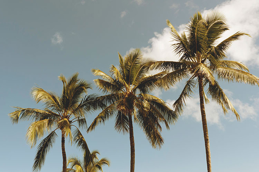 We have a new website!