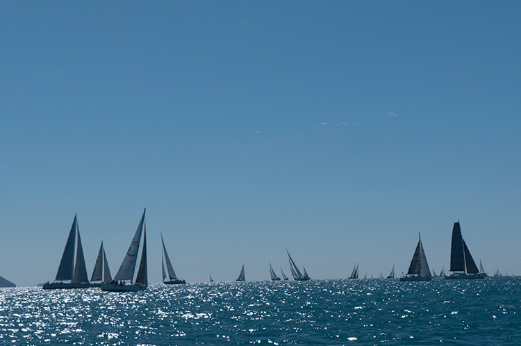 Race-Week-Boats.jpg