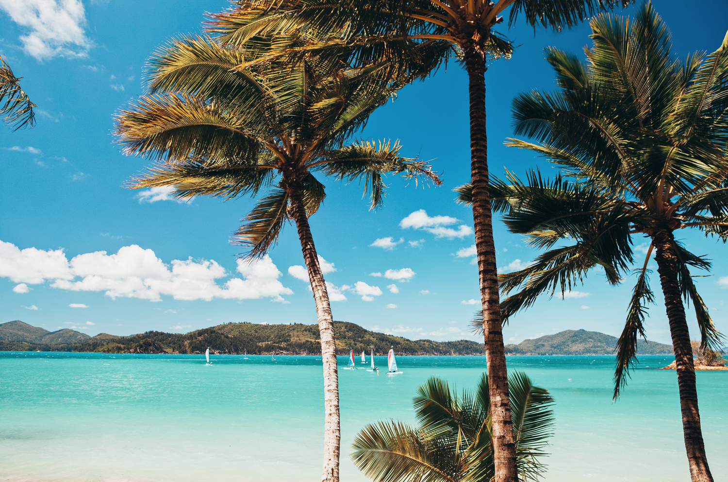 10 Things You Didn’t Know About Hamilton Island 